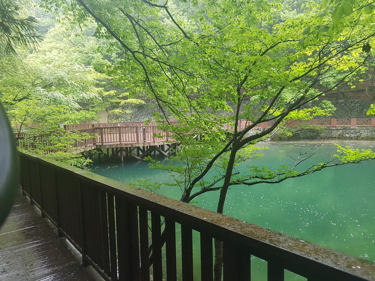 维他命酒店 釜山 外观 照片