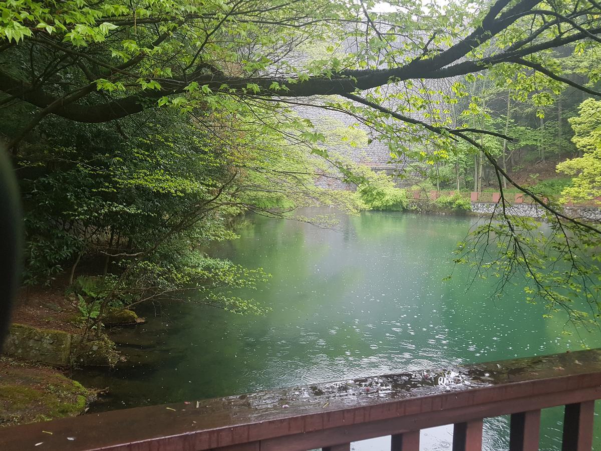 维他命酒店 釜山 外观 照片