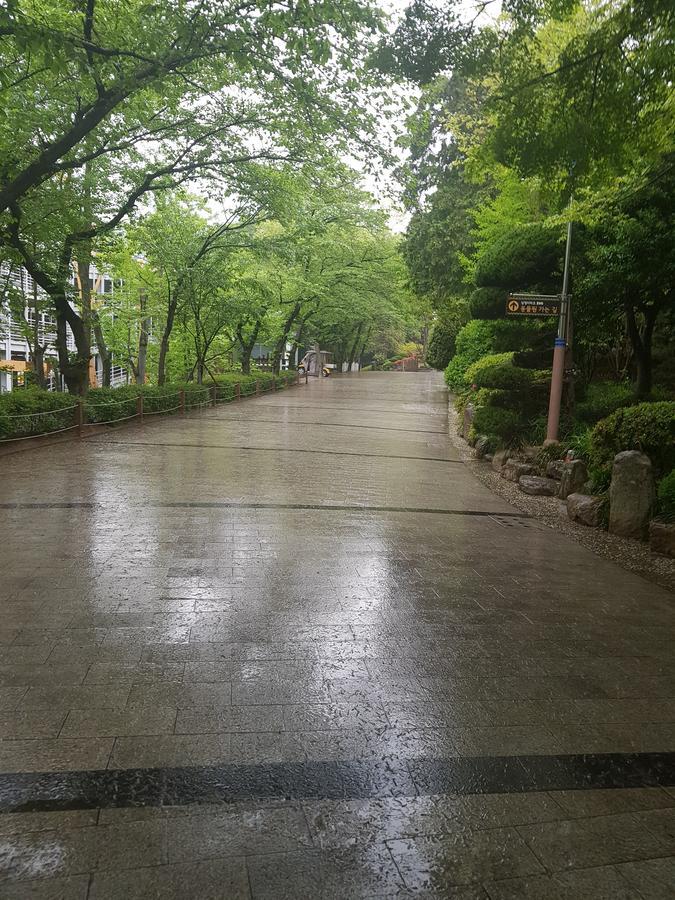 维他命酒店 釜山 外观 照片